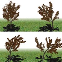 0911 tr35 barbicab x616