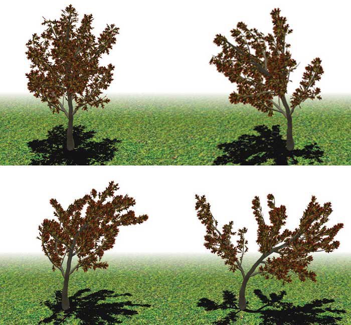 Photo of Jernej Barbic