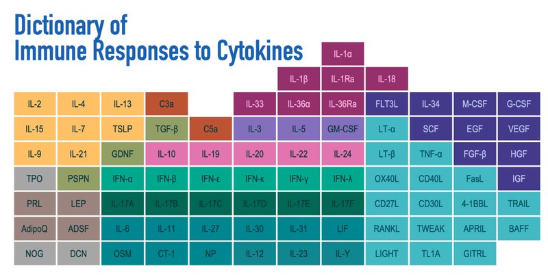 Dictionary of Immune Responses